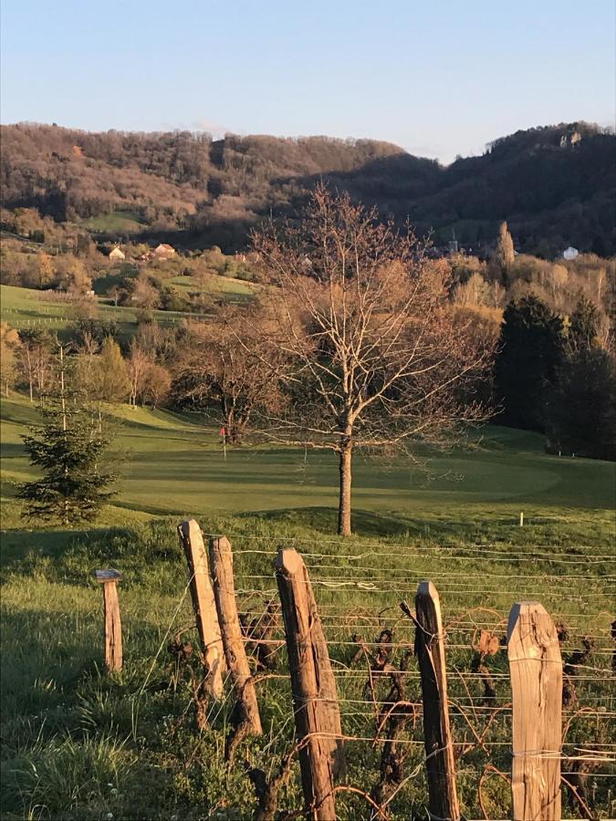 Golf Val De Sorne Vernantois Maison Vigneronne Luaran gambar